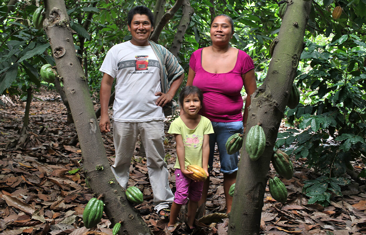 Numi Fair Trade Chocolate Farm used in organic drinking chocolates