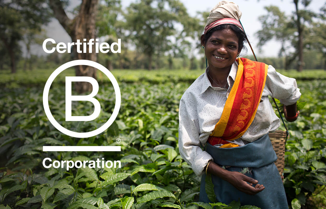 founding-b-corporation-purpose-driven-company.jpg